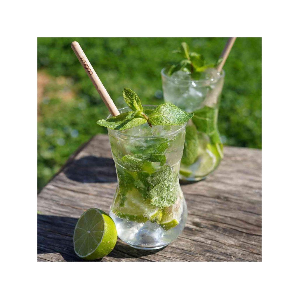 Meilleurs verres à mojito - image 2
